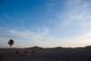marocco_web101_small.jpg