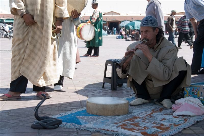 marocco_web207.jpg