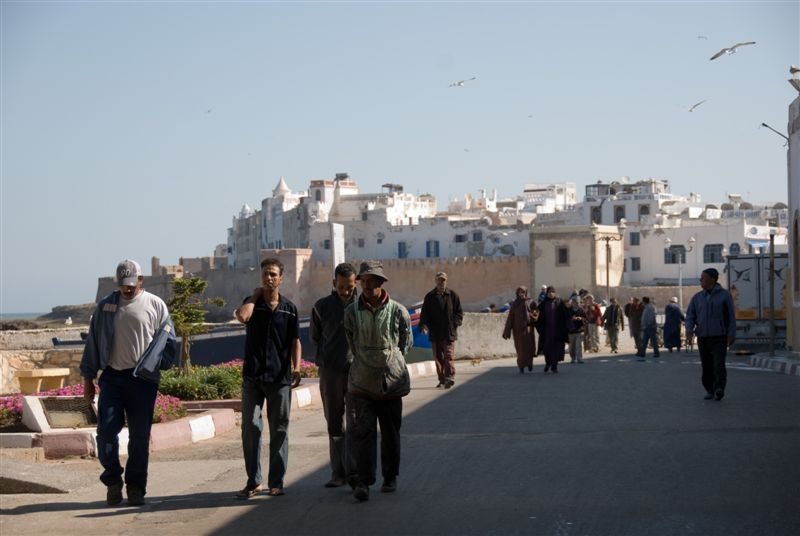 marocco_web252.jpg