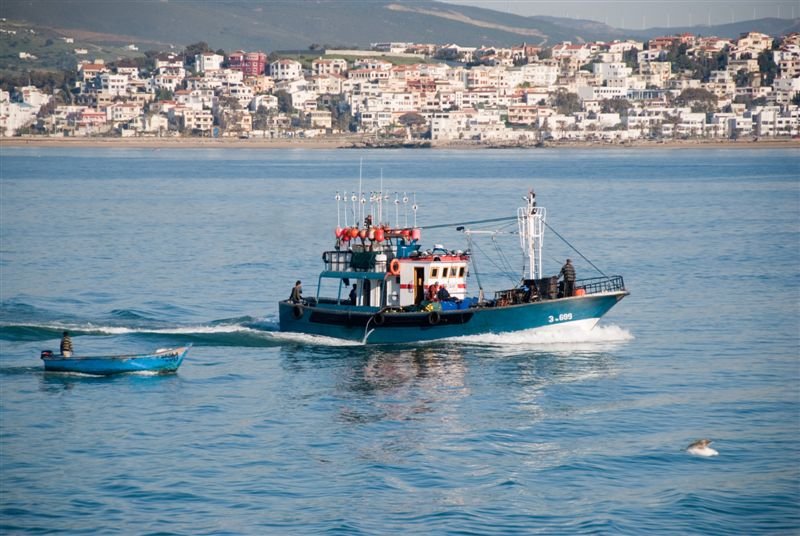 marocco_web6.jpg
