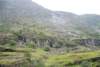 norvegia_web102_small.jpg