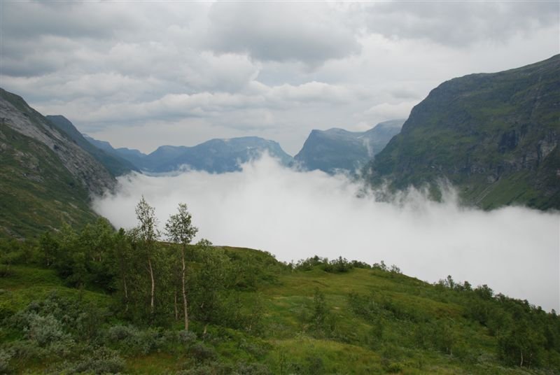 norvegia_web114.jpg