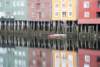 norvegia_web179_small.jpg
