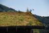 norvegia_web61_small.jpg