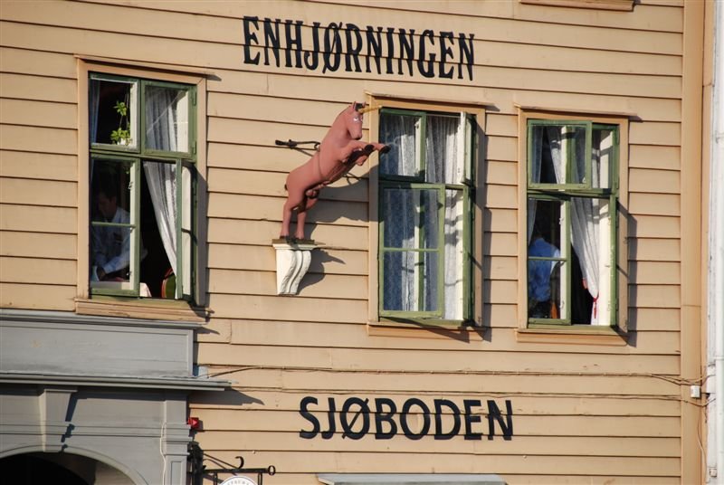 norvegia_web64.jpg