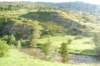 pirenei2013136_small.jpg