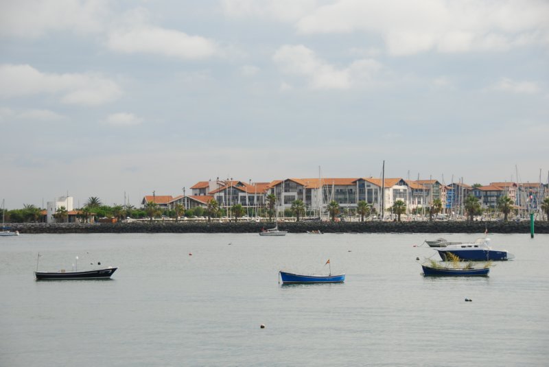 pirenei2013205.jpg