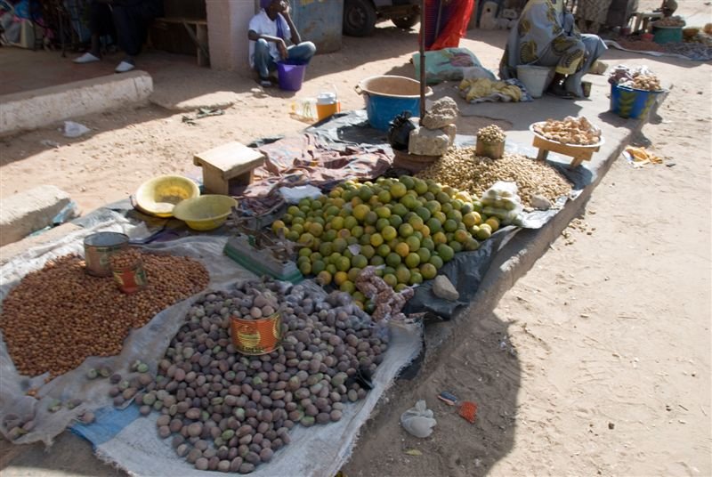 senegal_web108.jpg