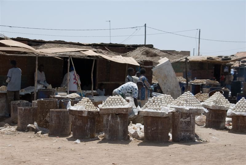 senegal_web121.jpg
