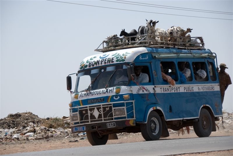 senegal_web122.jpg