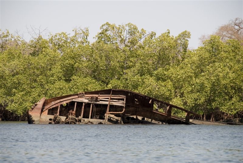 senegal_web155.jpg