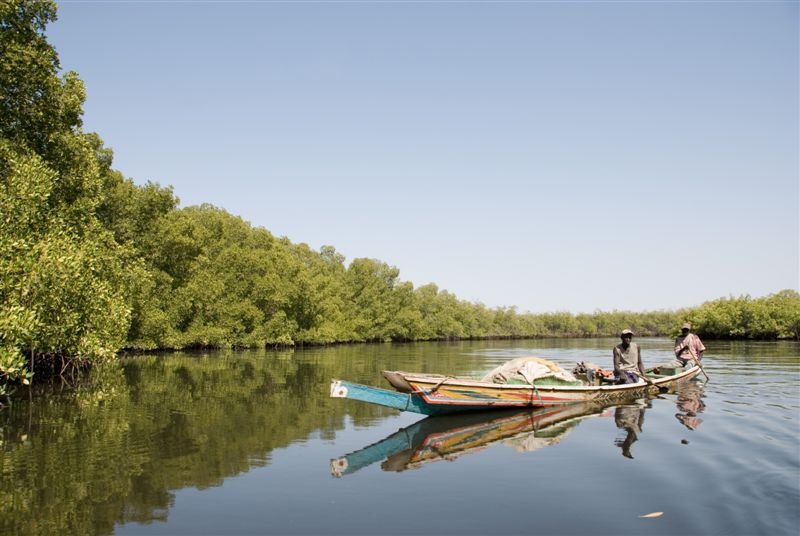 senegal_web157.jpg