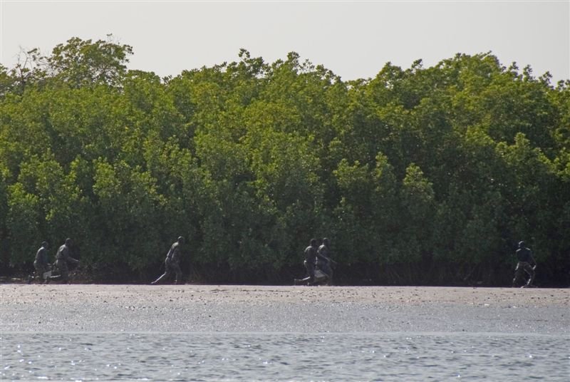 senegal_web172.jpg