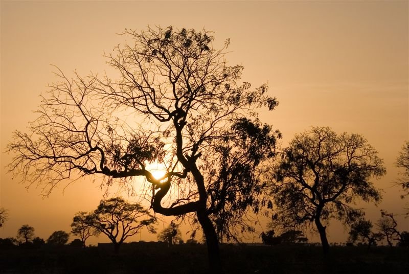 senegal_web174.jpg