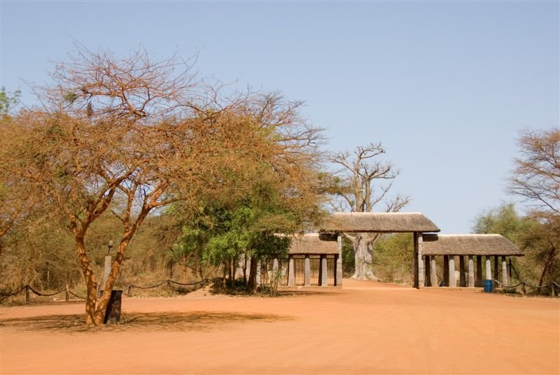 senegal_web180.jpg