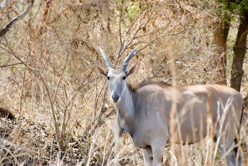 senegal_web181.jpg
