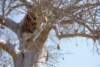senegal_web197_small.jpg