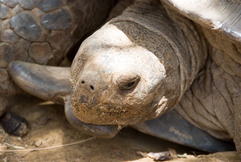 senegal_web219.jpg