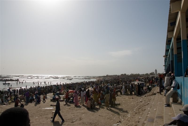 senegal_web232.jpg