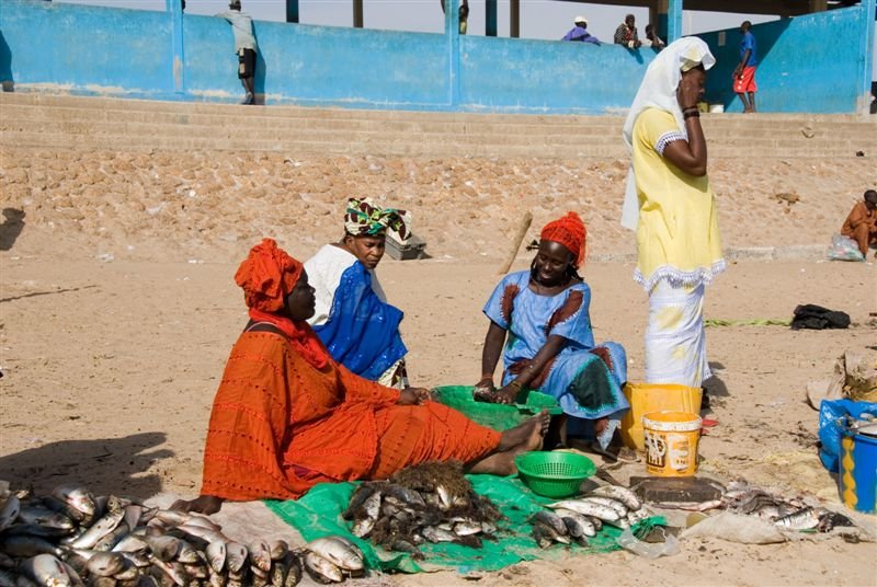 senegal_web233.jpg