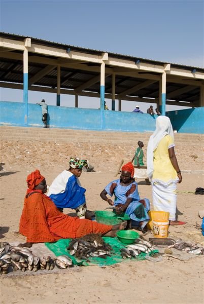 senegal_web234.jpg