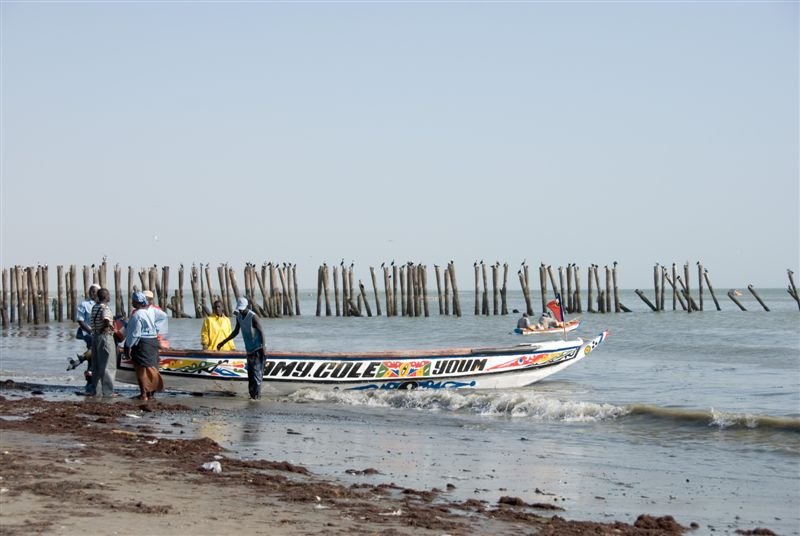 senegal_web240.jpg