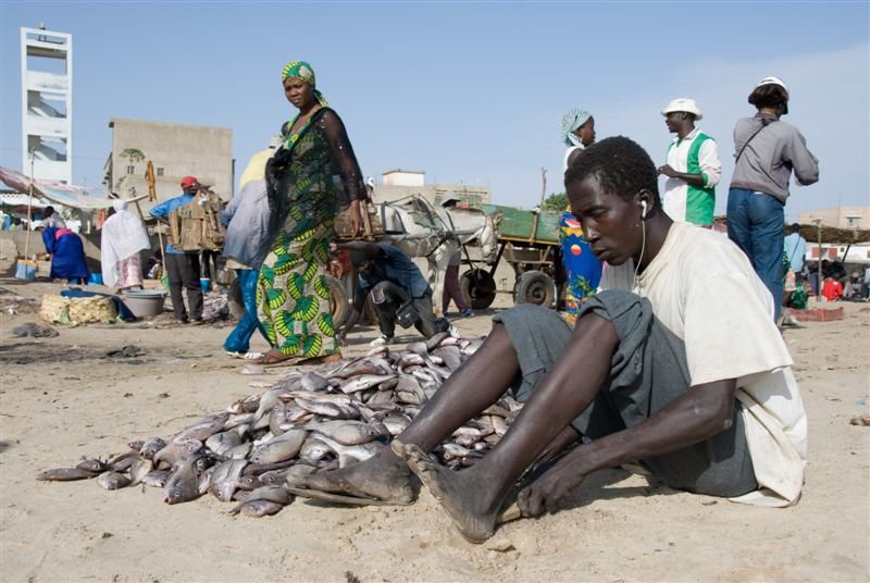 senegal_web242.jpg