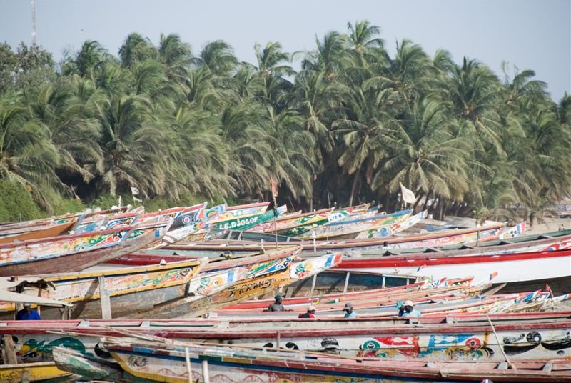 senegal_web243.jpg