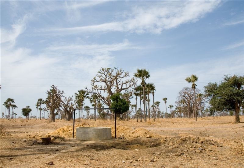 senegal_web285.jpg