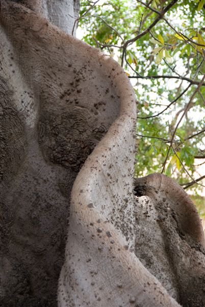 senegal_web304.jpg