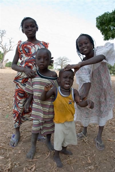 senegal_web310.jpg