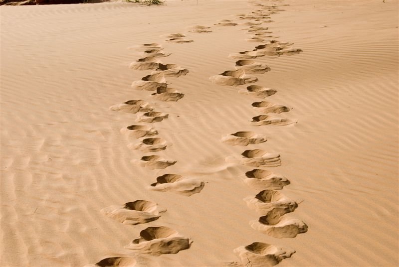 senegal_web348.jpg