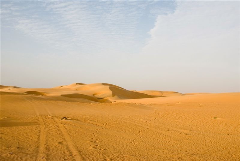 senegal_web352.jpg