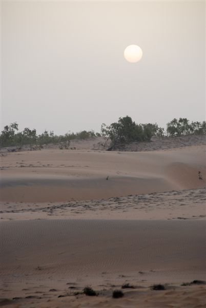 senegal_web389.jpg