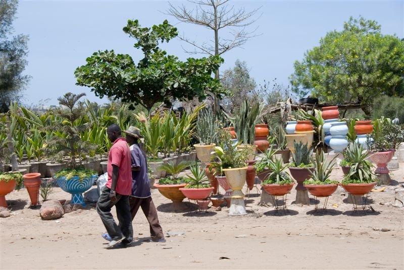 senegal_web39.jpg