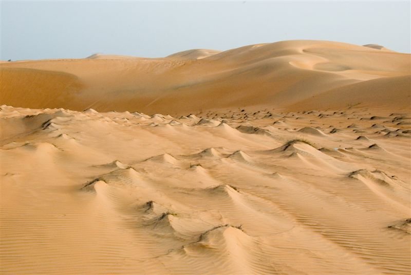senegal_web399.jpg