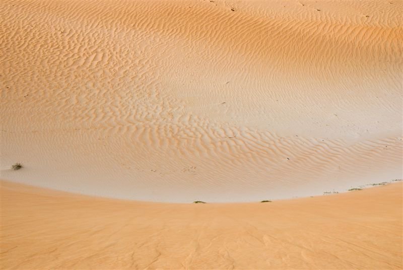 senegal_web402.jpg