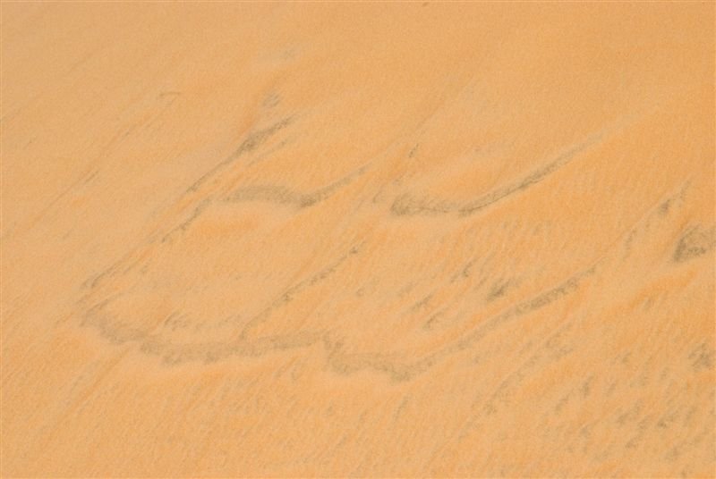 senegal_web404.jpg