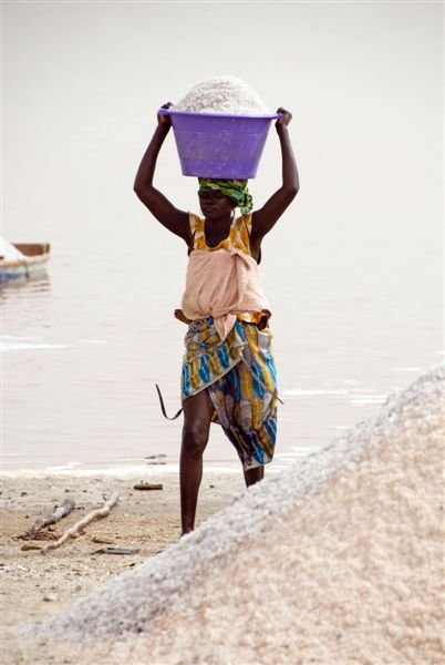 senegal_web419.jpg