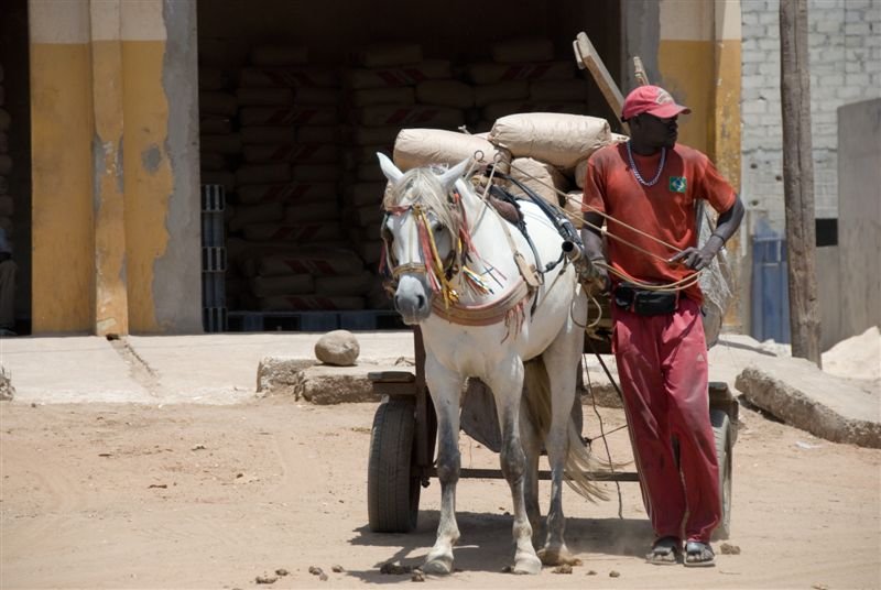 senegal_web42.jpg