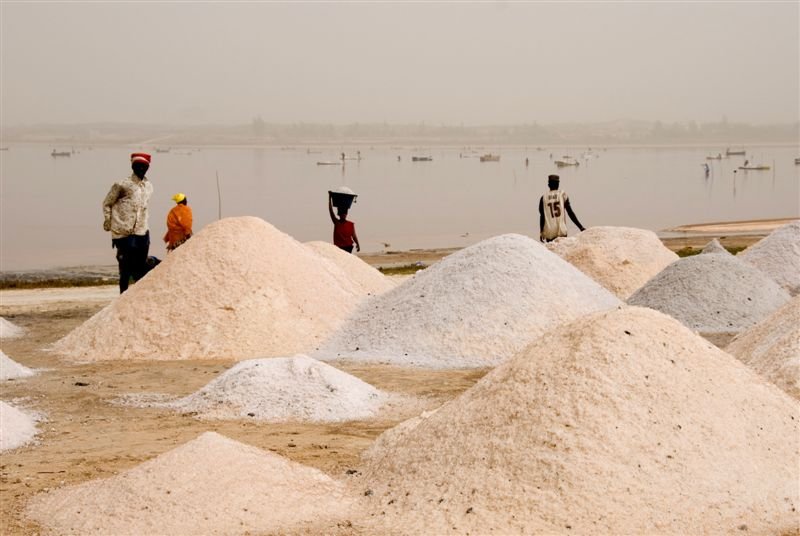 senegal_web424.jpg