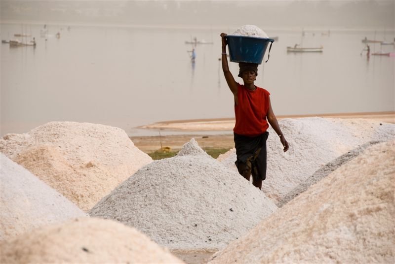 senegal_web425.jpg
