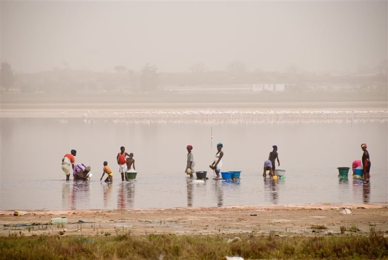 senegal_web426.jpg