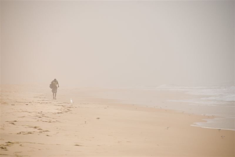 senegal_web445.jpg