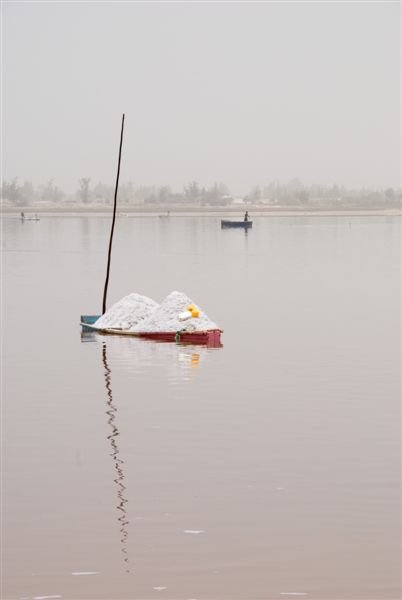 senegal_web449.jpg