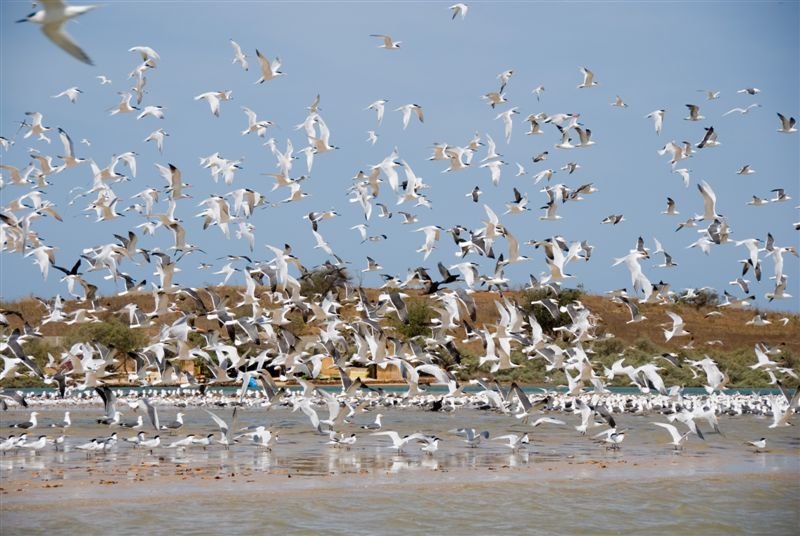 senegal_web64.jpg