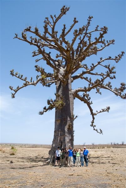 senegal_web74.jpg