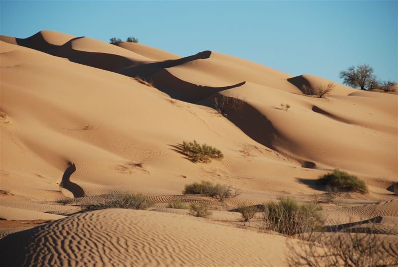 tunisia_web116.jpg
