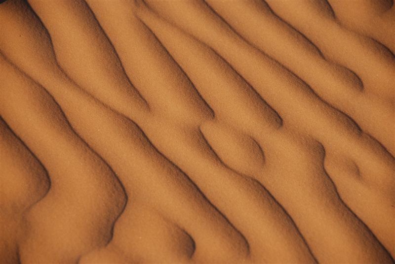 tunisia_web121.jpg