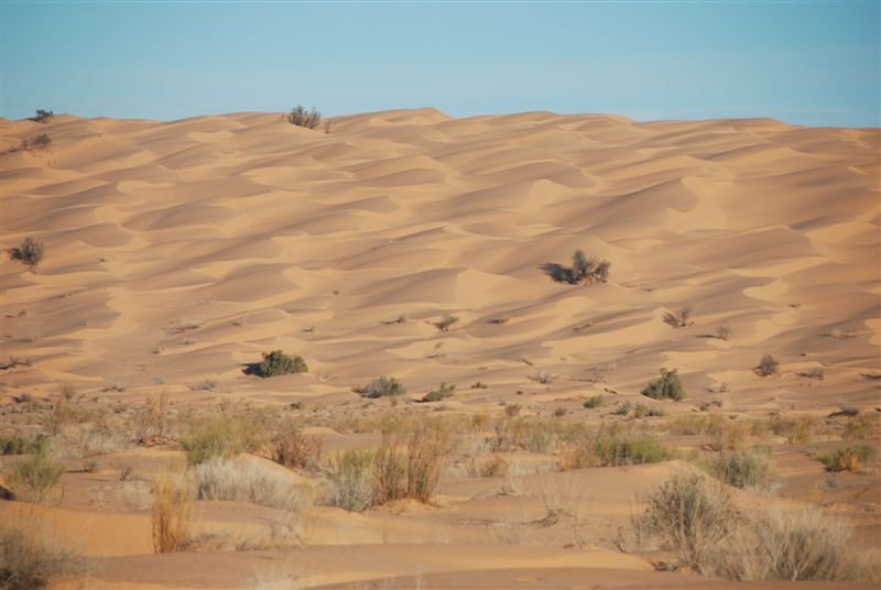 tunisia_web137.jpg